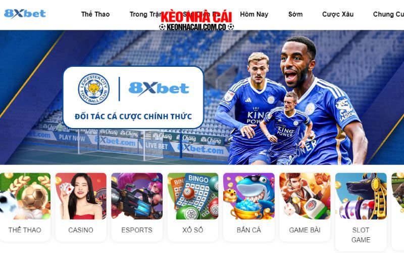 Sảnh cá cược thể thao 8XBET