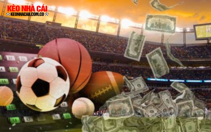 Khái niệm nhà cái uy tín tặng tiền cược miễn phí