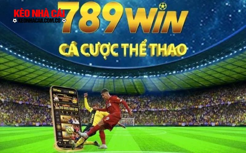 Đa dạng môn cược thể thao