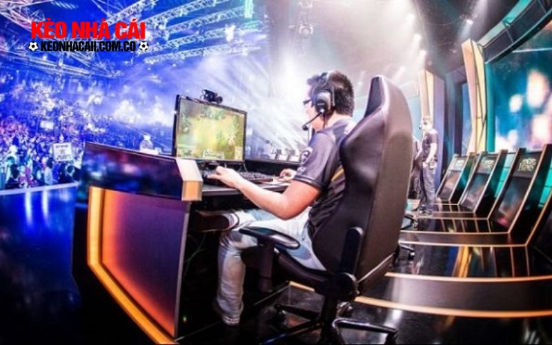 Anh em cược thủ cần biết cách quản lý vốn hợp lý