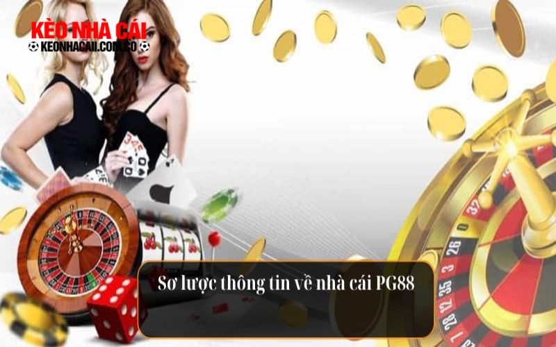 Giới thiệu thông tin sơ lược về nhà cái PG88 