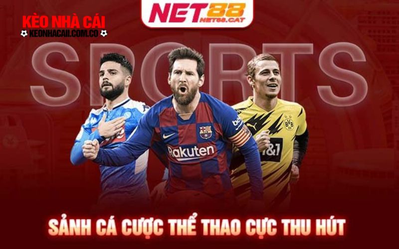 Giới thiệu sảnh cược thể thao Net88