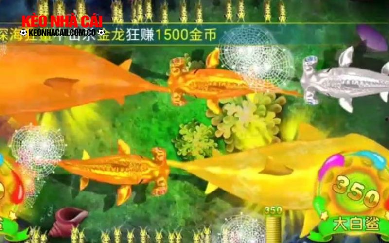 Sức hút khó cưỡng của cổng game bắn cá đối với anh em