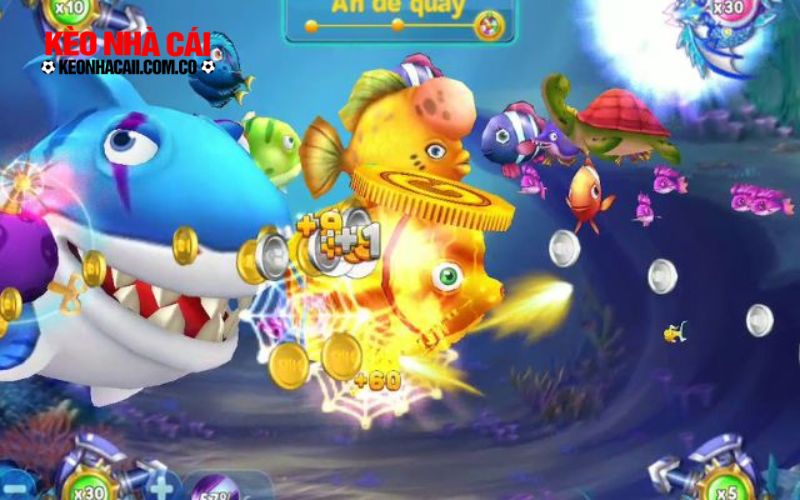 Bước chân vào thế giới dưới đại dương đầy màu sắc ngay