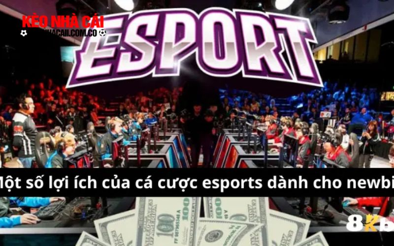 Lợi ích khi cá cược esports tại 8kbet