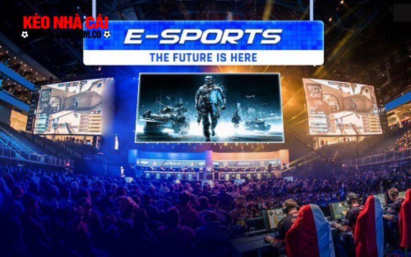 Cá cược esports tại 8kbet - lựa chọn đầy hấp dẫn cho game thủ