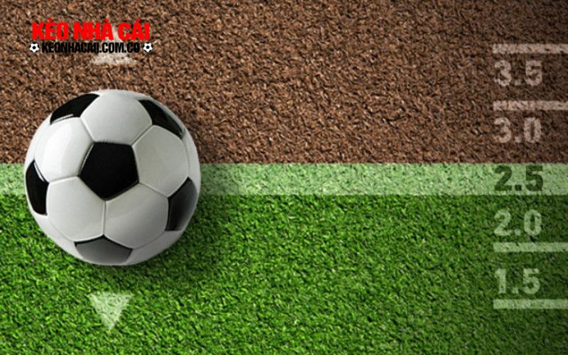 Kinh nghiệm chơi Tài Xỉu chắc thắng cho tân thủ