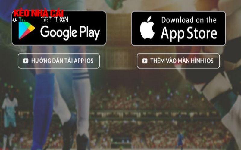 Hướng dẫn dễ hiểu cách tải app Bk8 cho hội viên