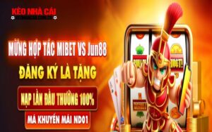Chương trình khuyến mãi từng tuần và từng tháng