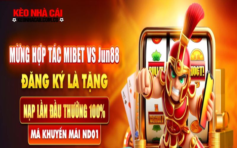 Chương trình khuyến mãi từng tuần và từng tháng