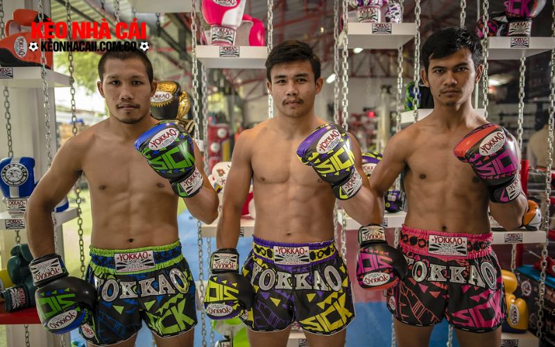 Phân tích kèo quyền Thái Yokkao để đặt cược hiệu quả