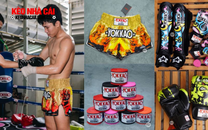 Cách đọc kèo quyền Thái Yokkao tại hi88