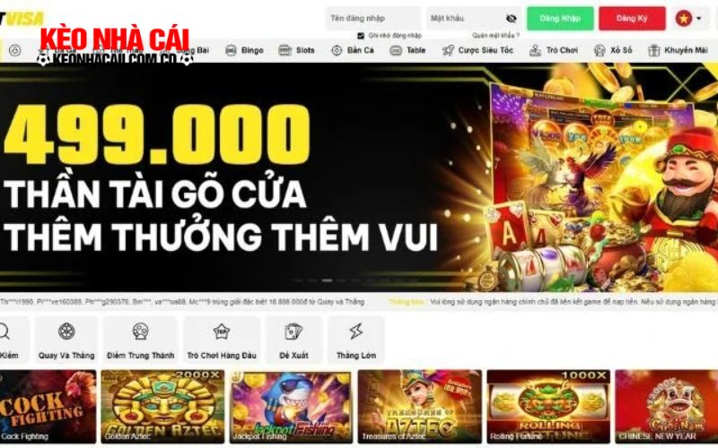 Dịch vụ cá cược chất lượng tại Betvisa