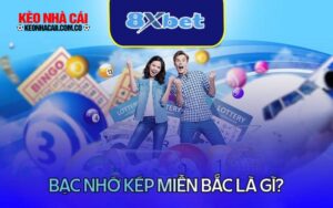 Tìm hiểu chung về bạc nhớ kép miền Bắc